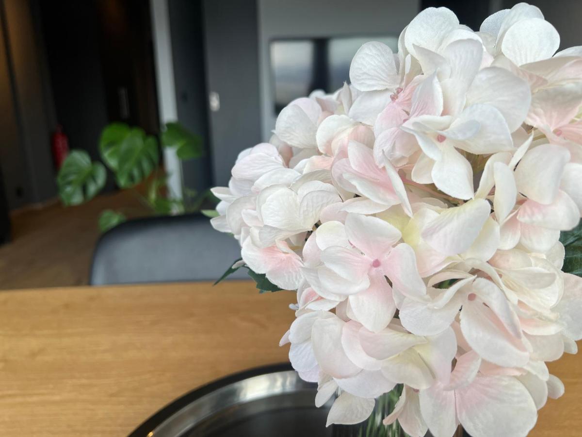 Tb Apartment 阿克雷里 外观 照片